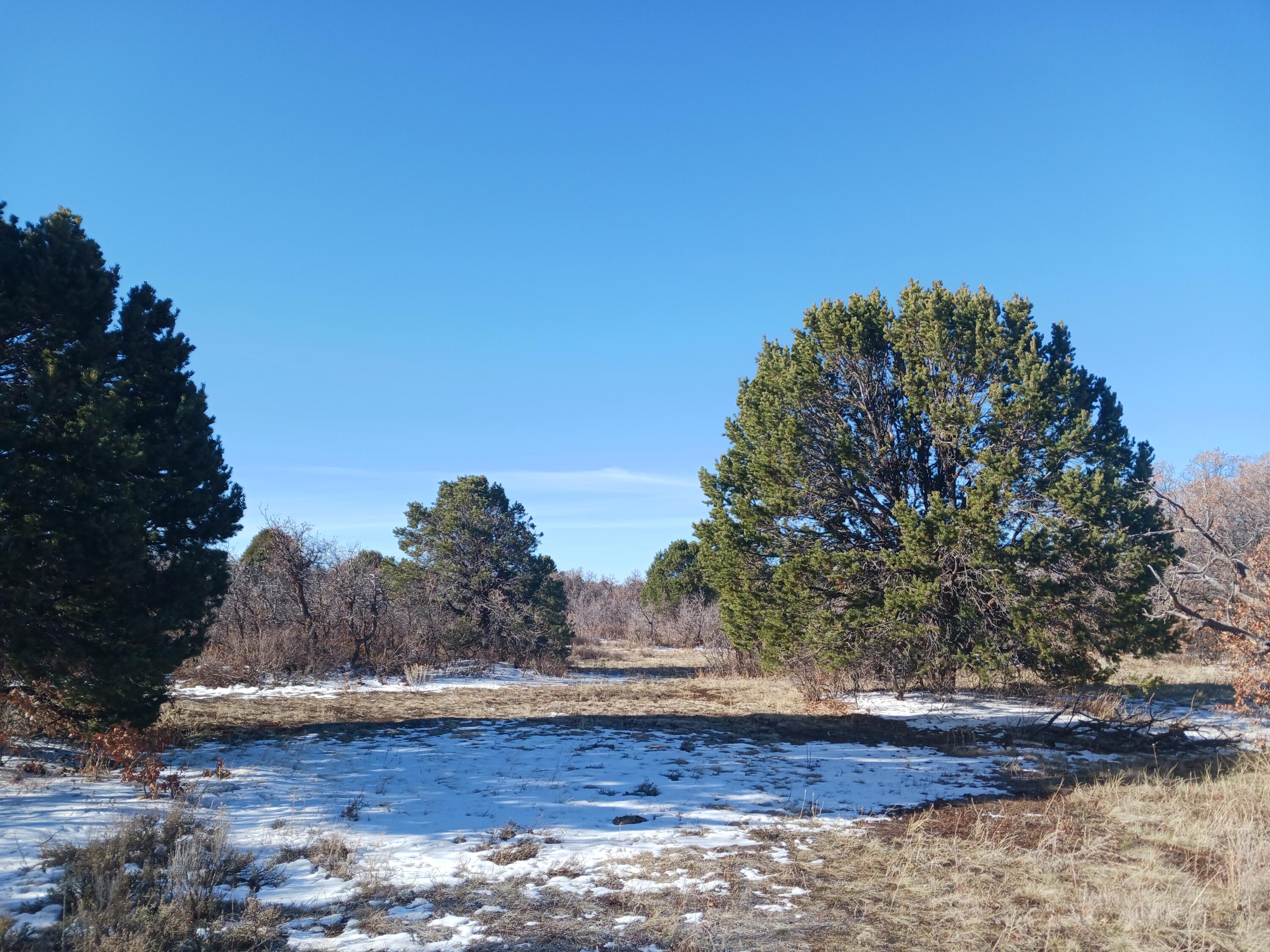 Tbd South Avalon Property Photo 11
