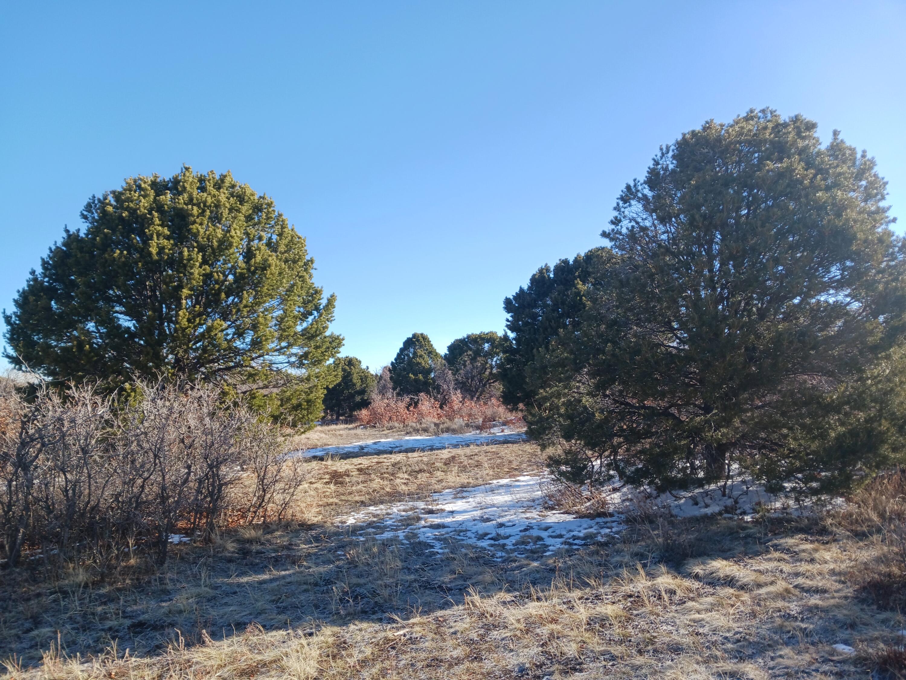 Tbd South Avalon Property Photo 12