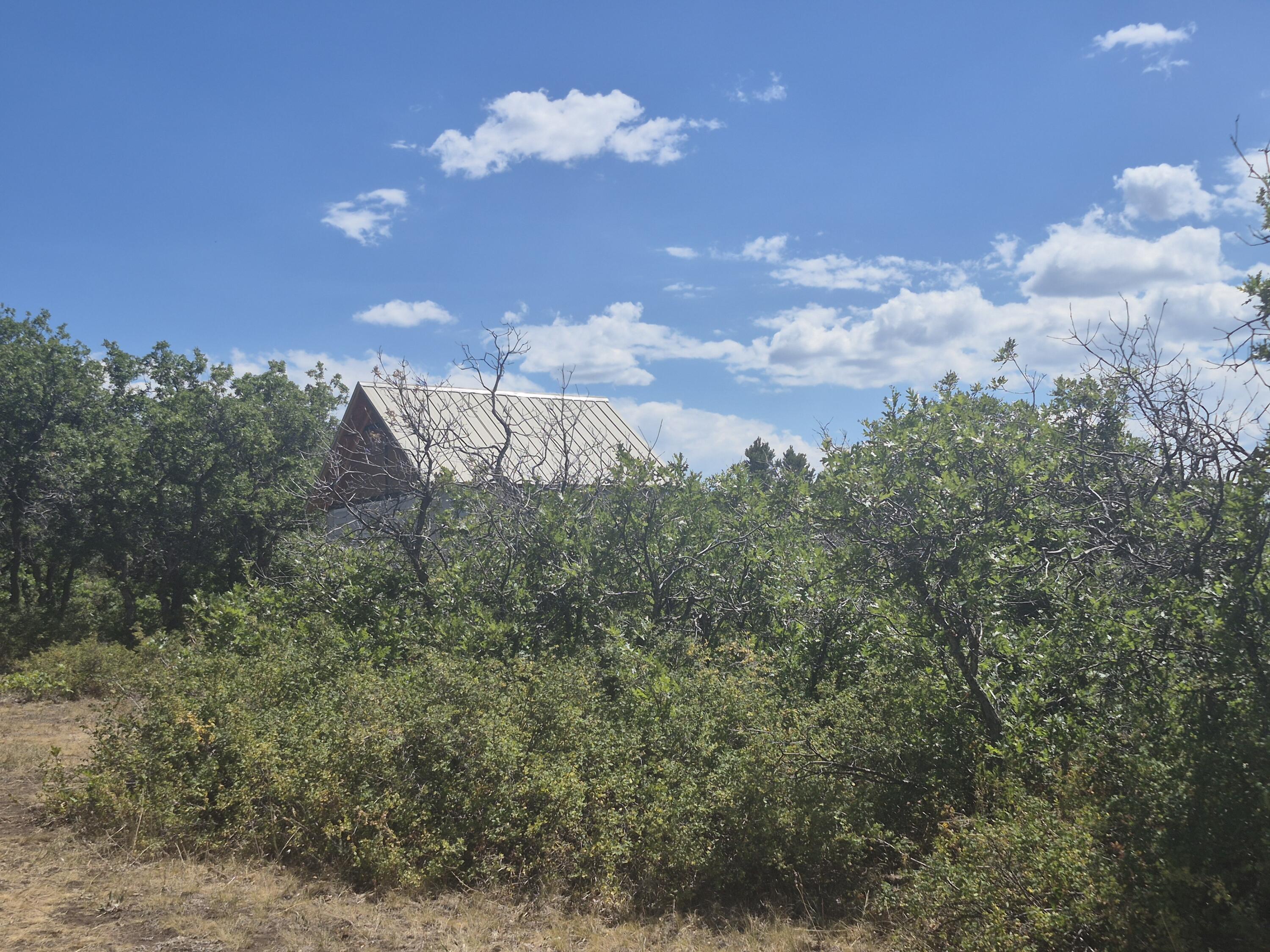 Tbd South Avalon Property Photo 14