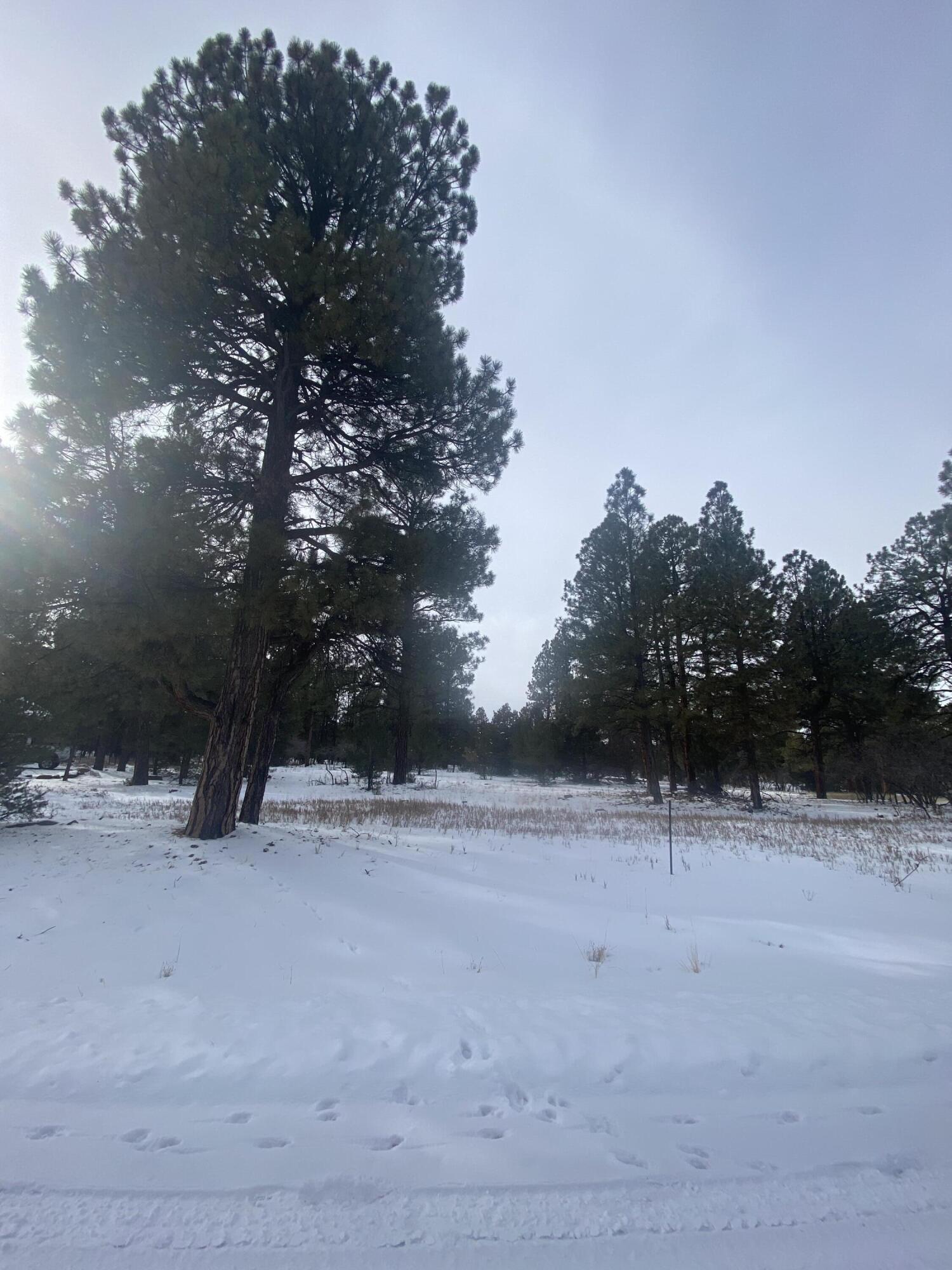 Tbd Badger Trail Property Photo 1
