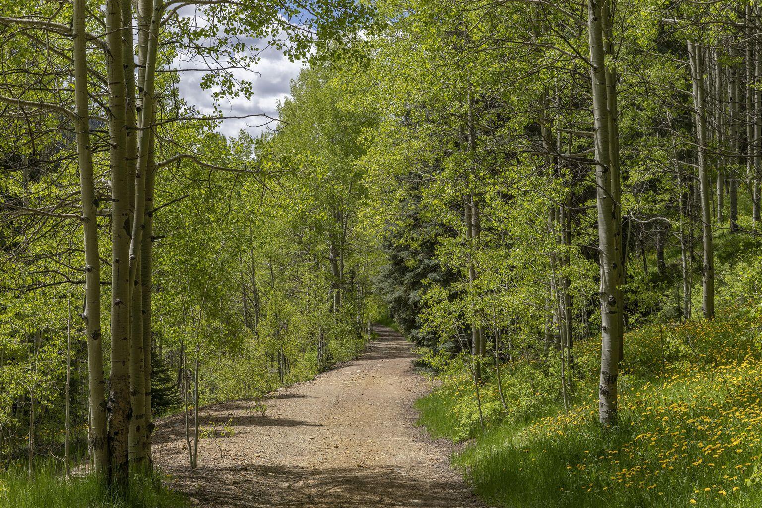 Tbd Dolores River Trail 6 Property Photo 1