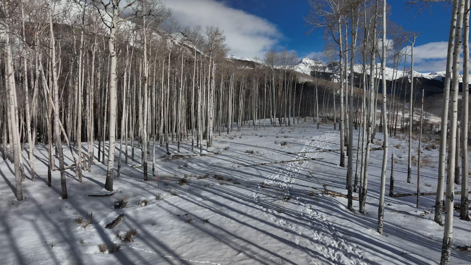 Tbd Basque Boulevard Property Photo 6