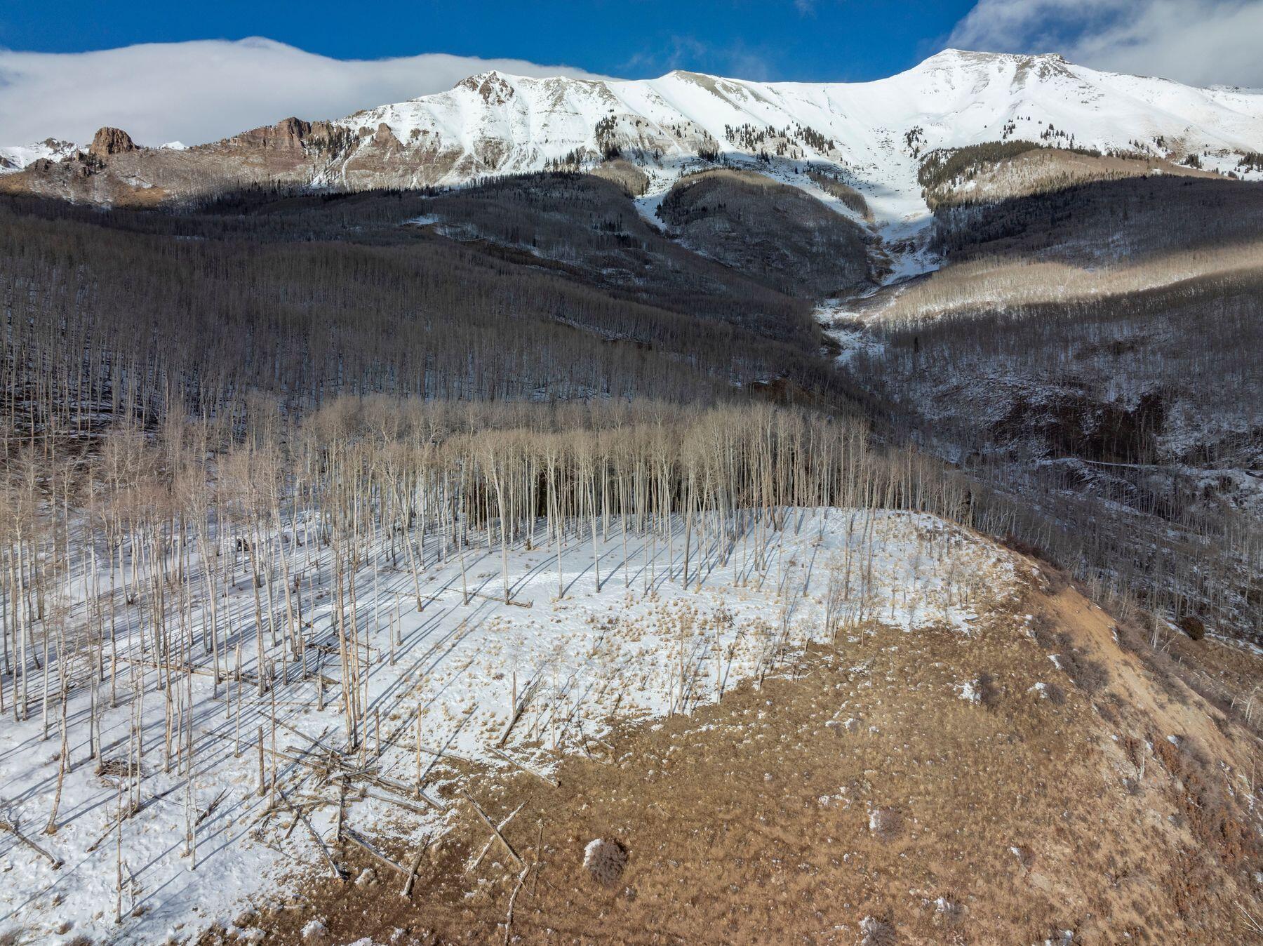 Tbd Basque Boulevard Property Photo 10