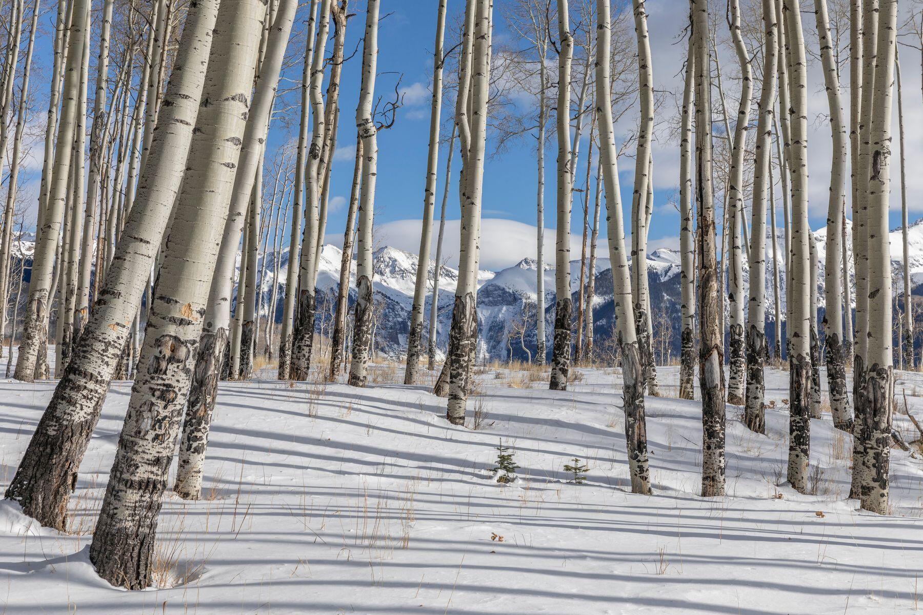 Tbd Basque Boulevard Property Photo 19