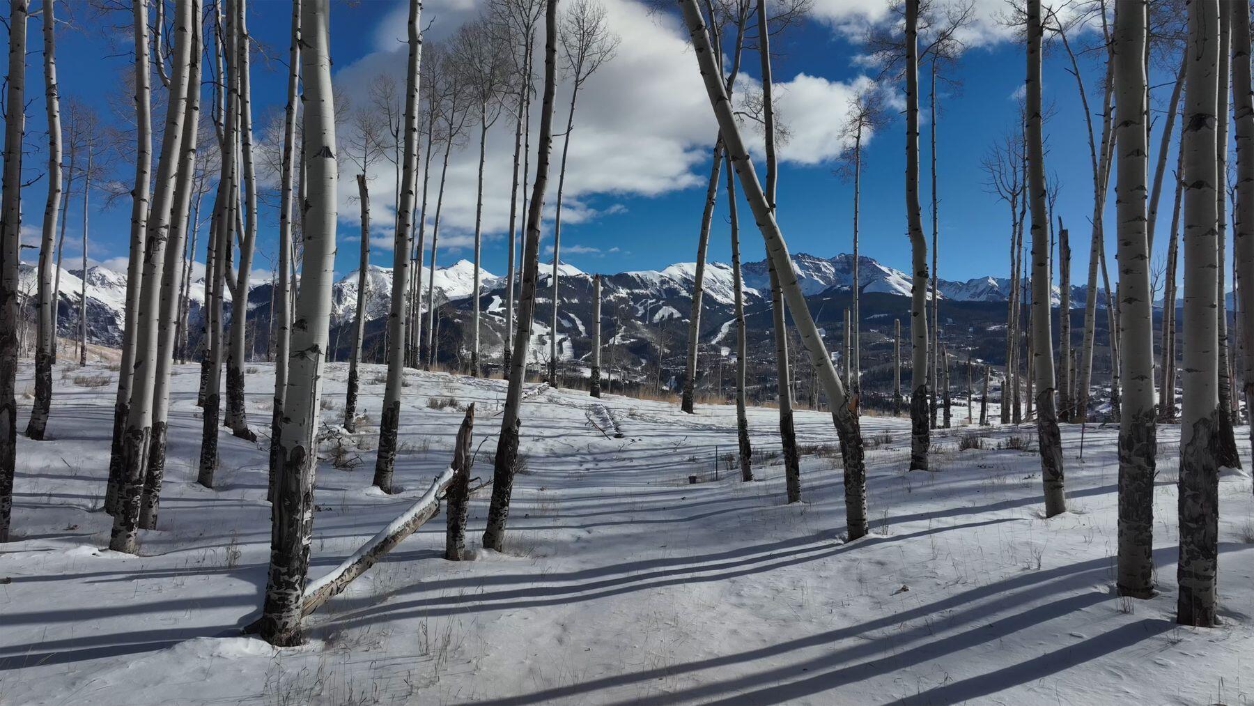 Tbd Basque Boulevard Property Photo 22