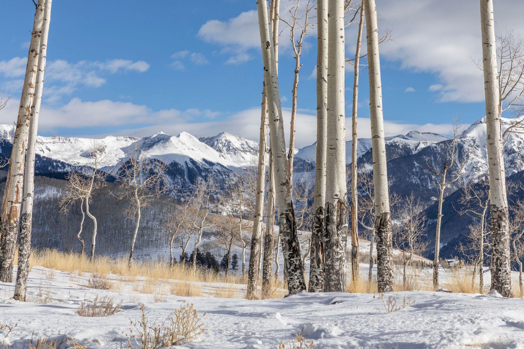 Tbd Basque Boulevard Property Photo 23