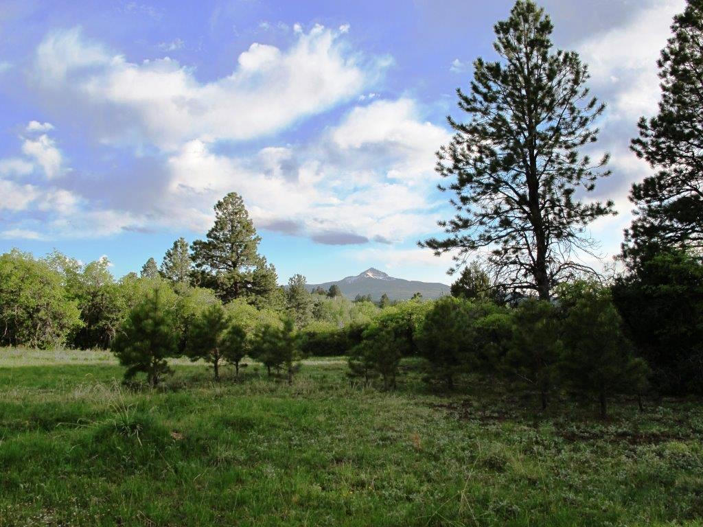 Tbd Peninsula Drive Property Photo 5
