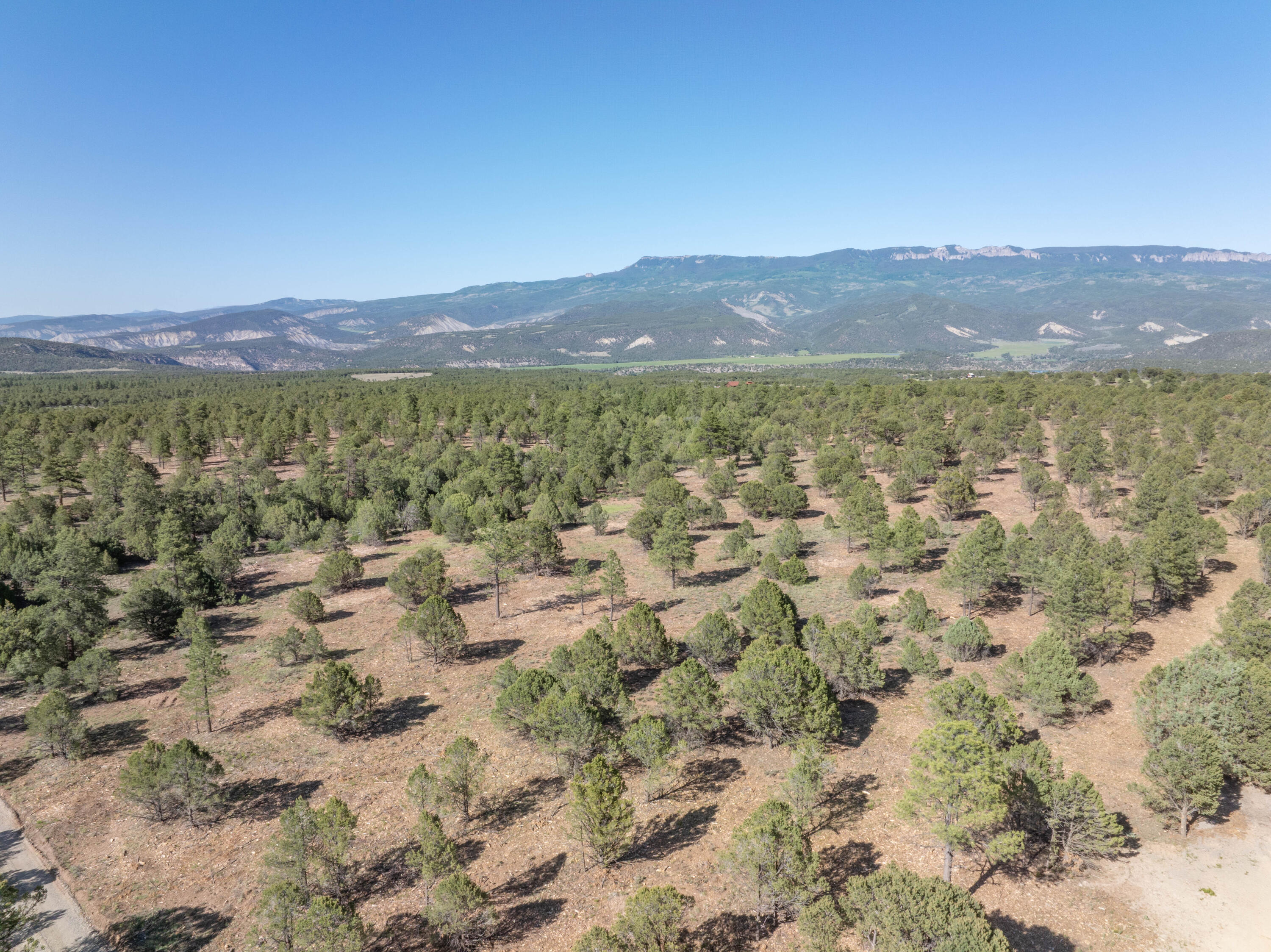 Tbd Ponderosa Dr Property Photo 8