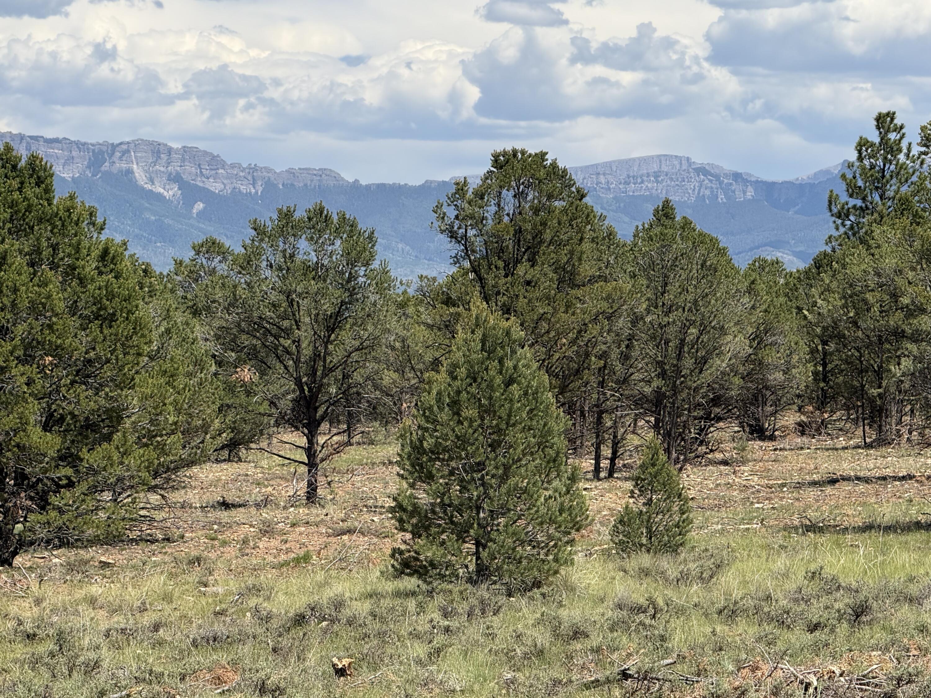 Tbd Ponderosa Dr Property Photo 17