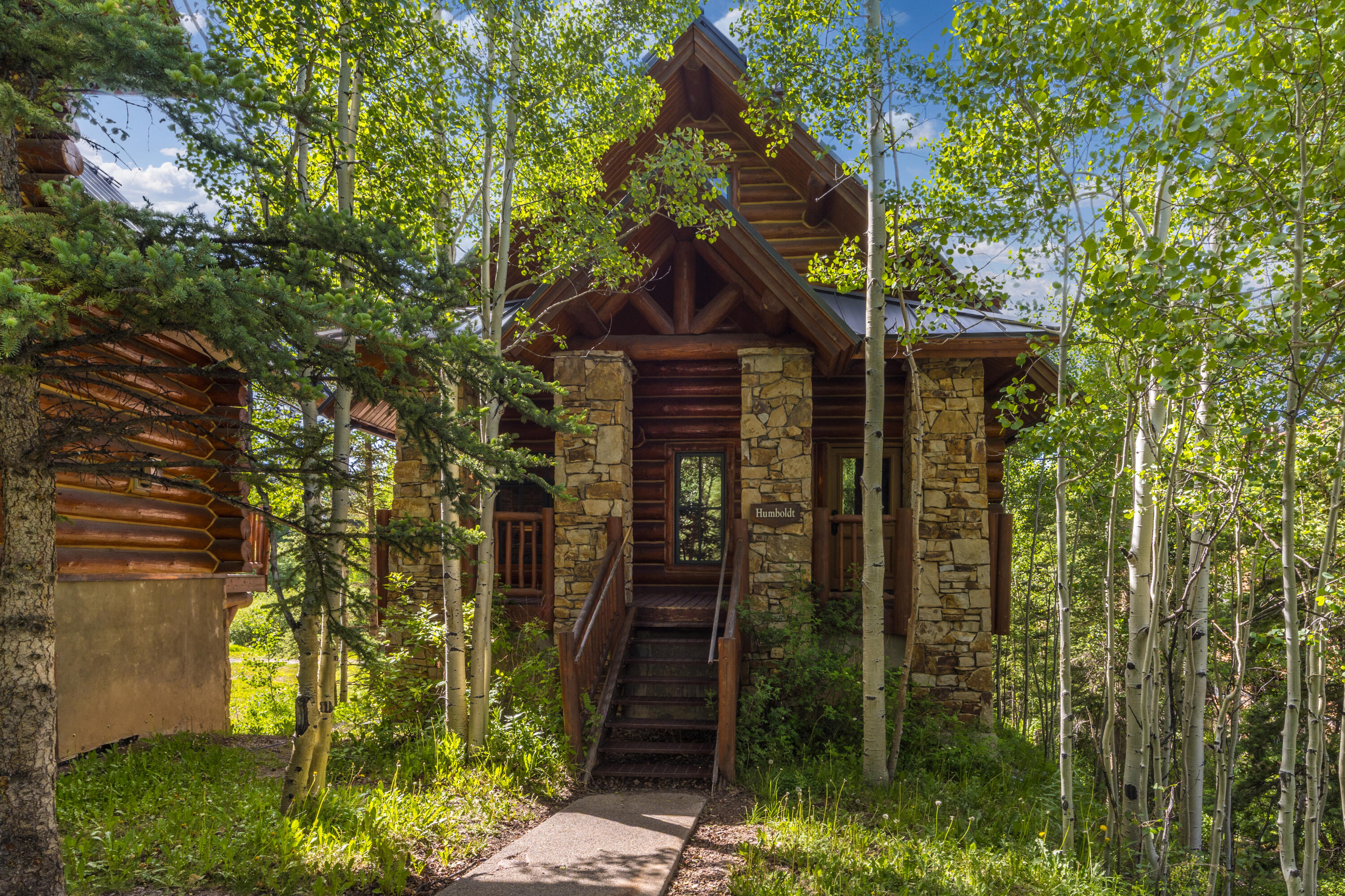 457 Mountain Village Boulevard Cabin 9 Property Photo 2