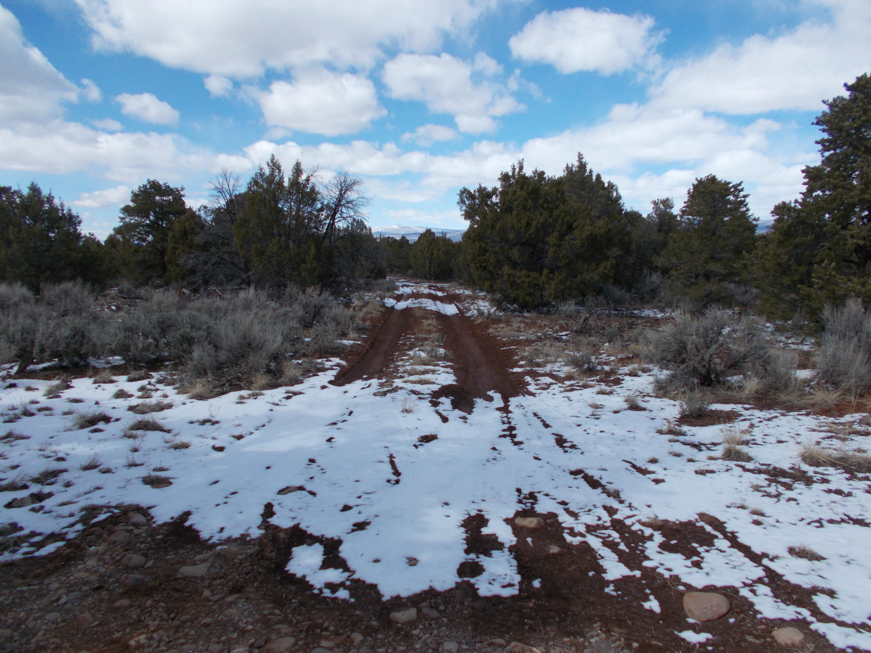 Tbd County Road 42Z N