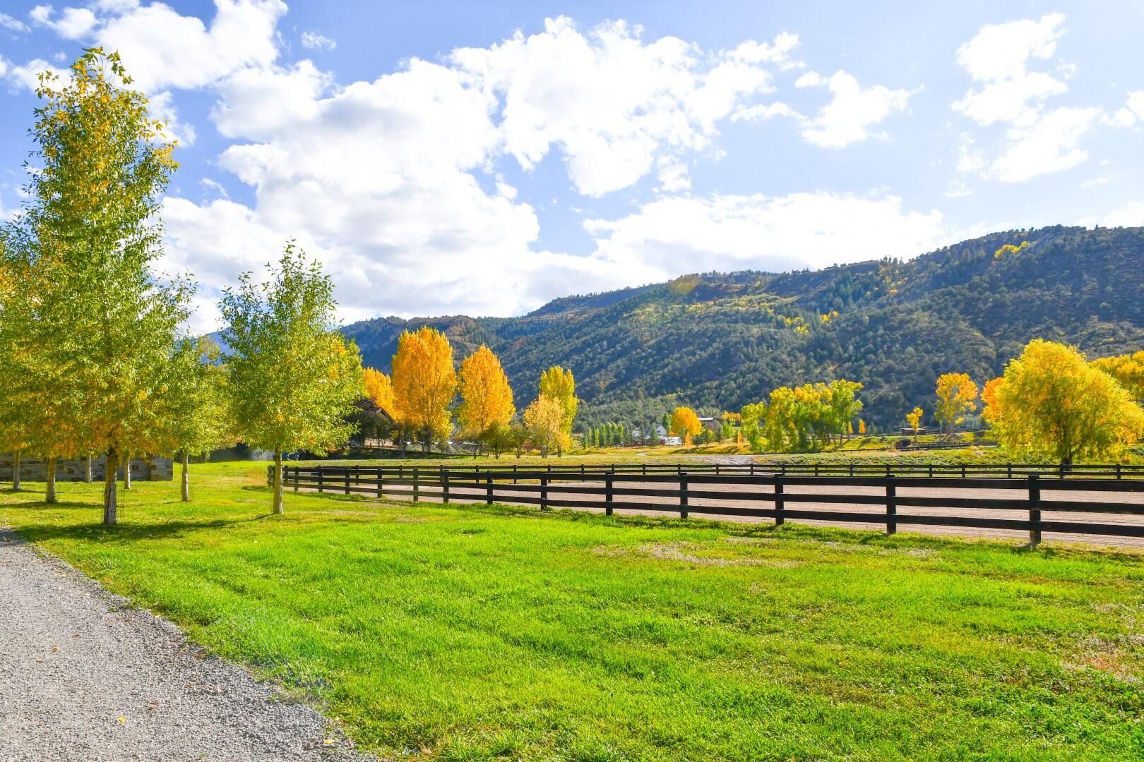 6154, 5636 County Road 23 Property Photo 5