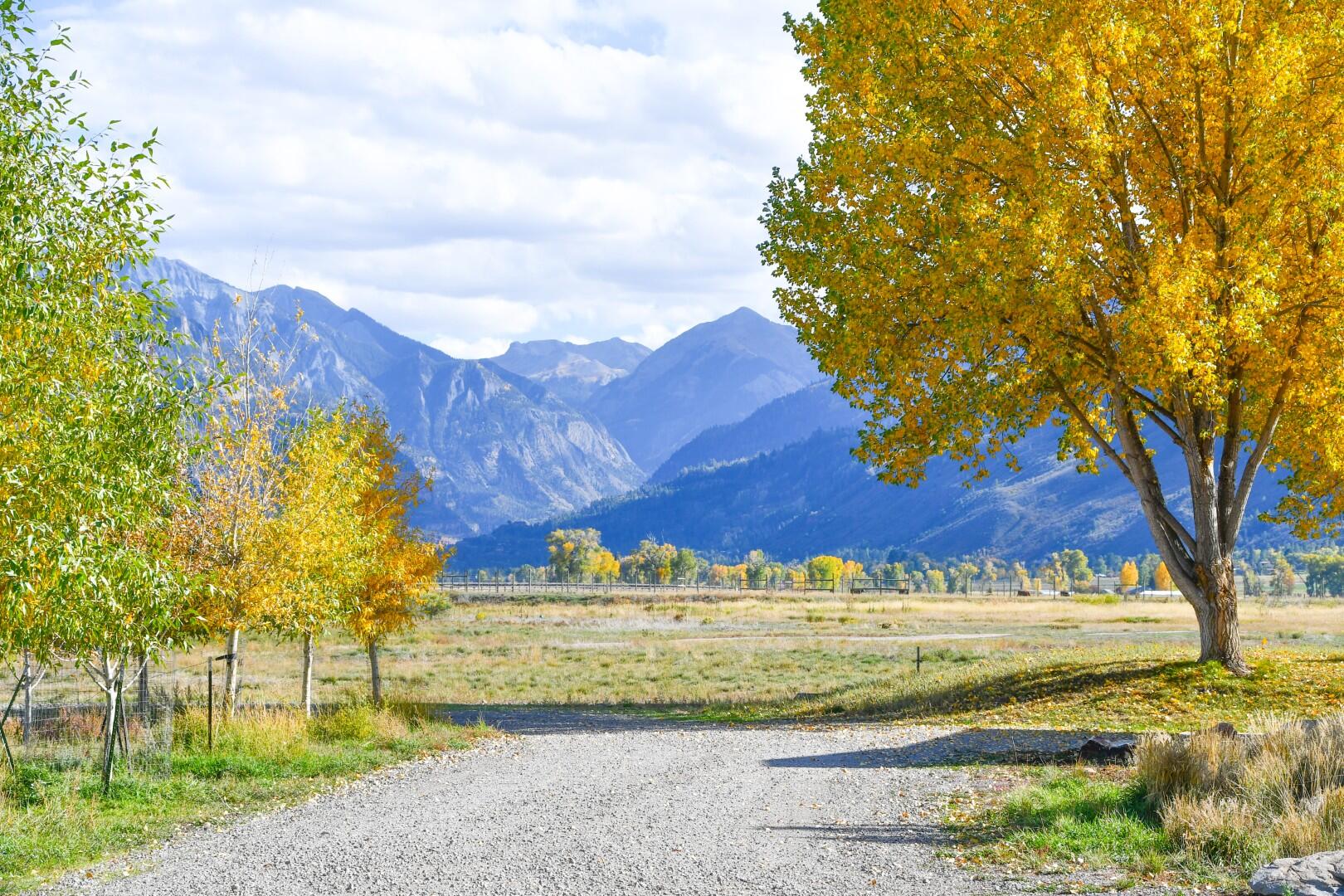 6154, 5636 County Road 23 Property Photo 6
