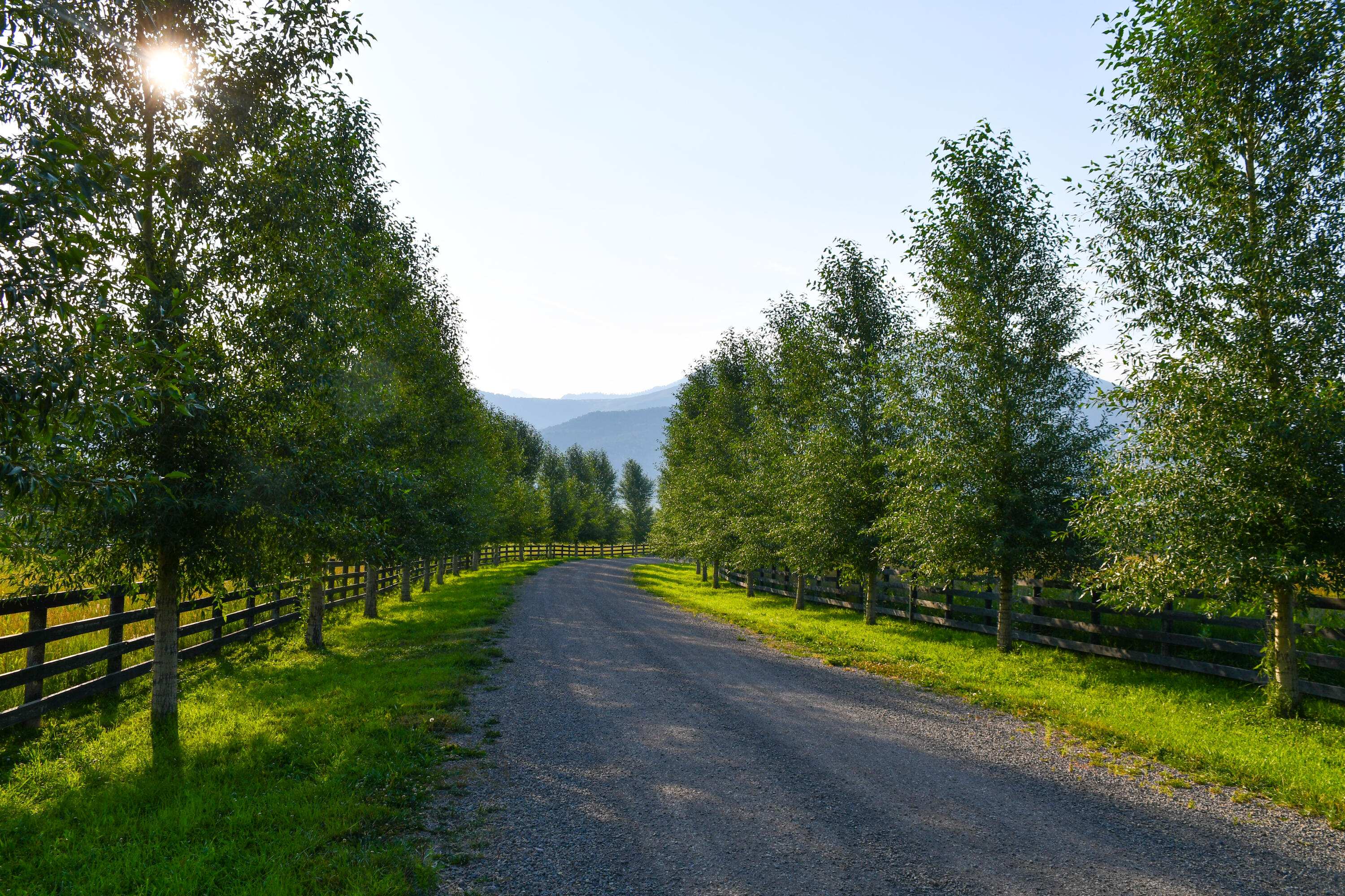 6154, 5636 County Road 23 Property Photo 9