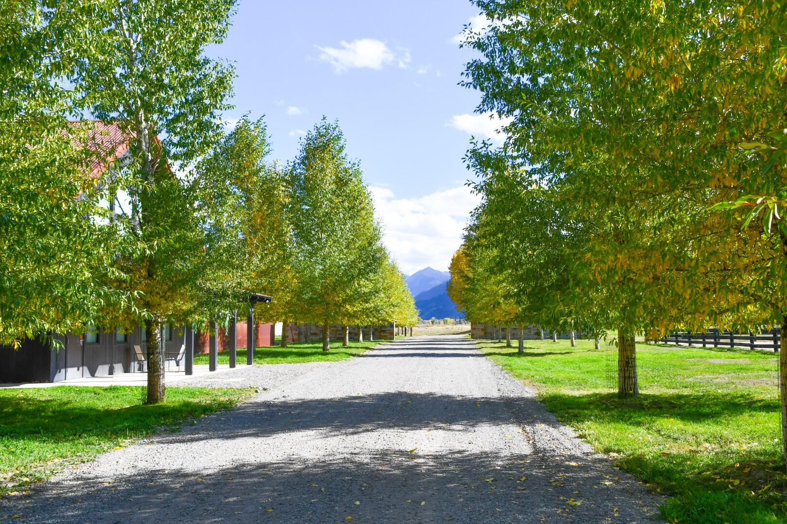 6154, 5636 County Road 23 Property Photo 126