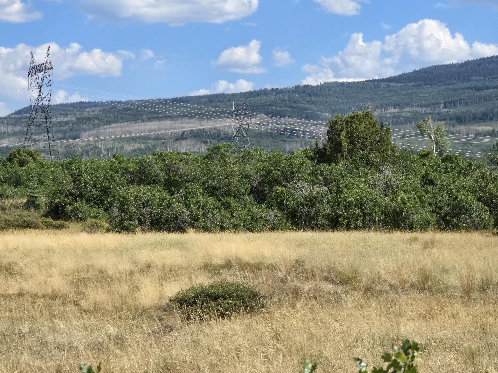 Tbd Lone Cone Meadows Lane Property Photo 4