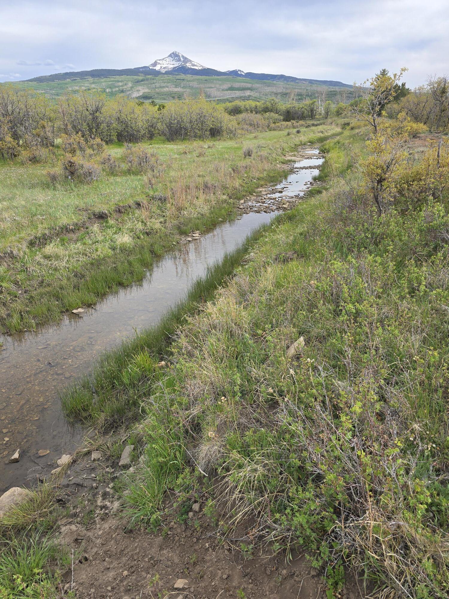 Tbd Lone Cone Meadows Lane Property Photo 7