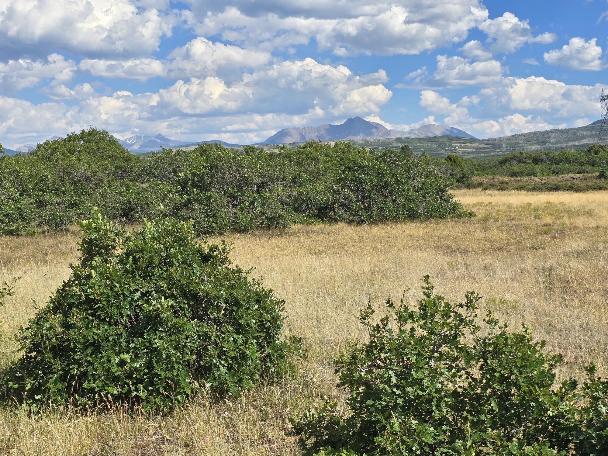 Tbd Lone Cone Meadows Lane Property Photo 8