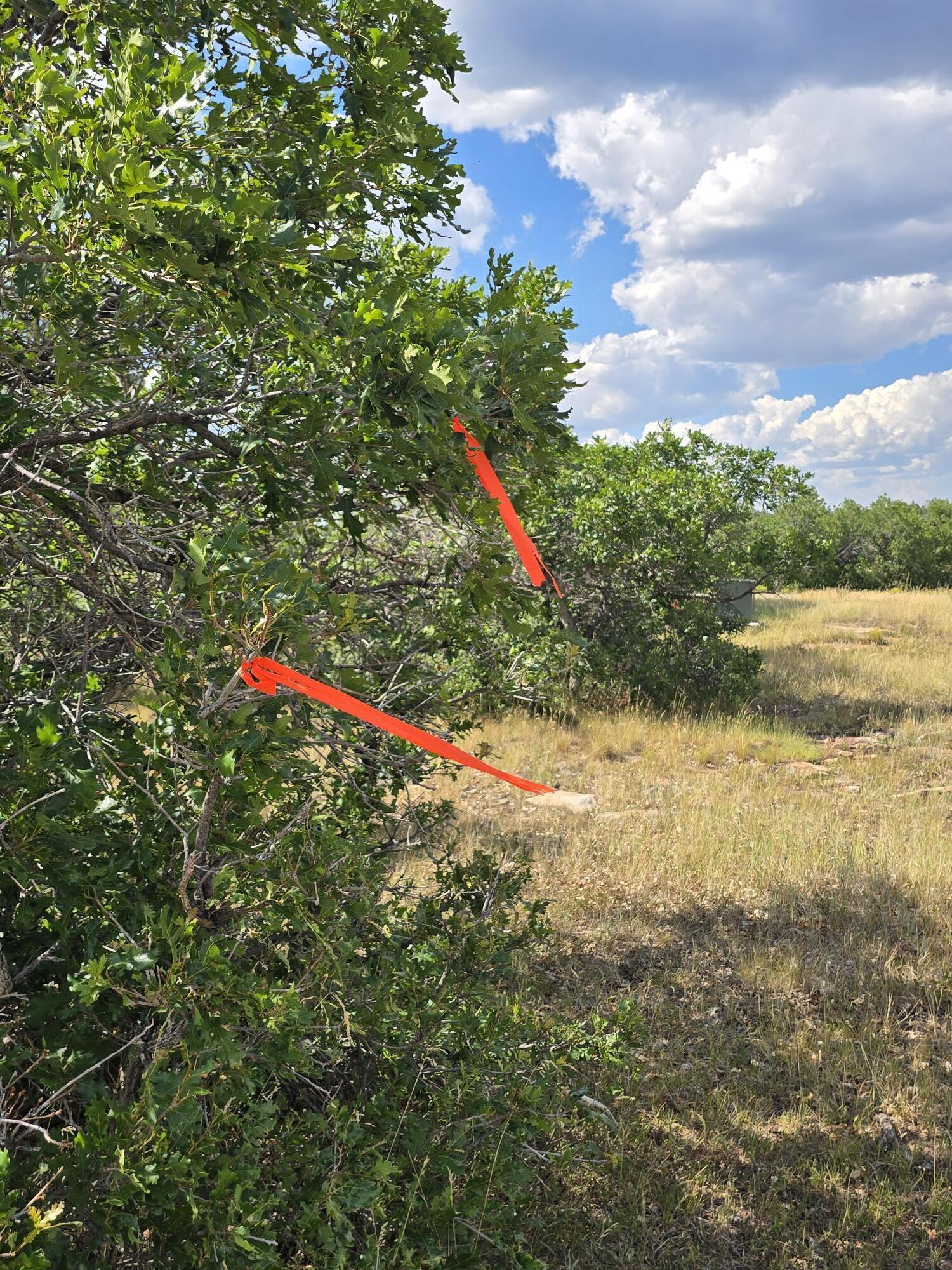 Tbd Lone Cone Meadows Lane Property Photo 11