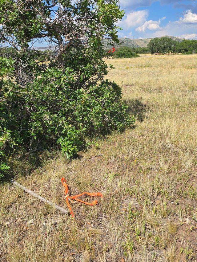 Tbd Lone Cone Meadows Lane Property Photo 14
