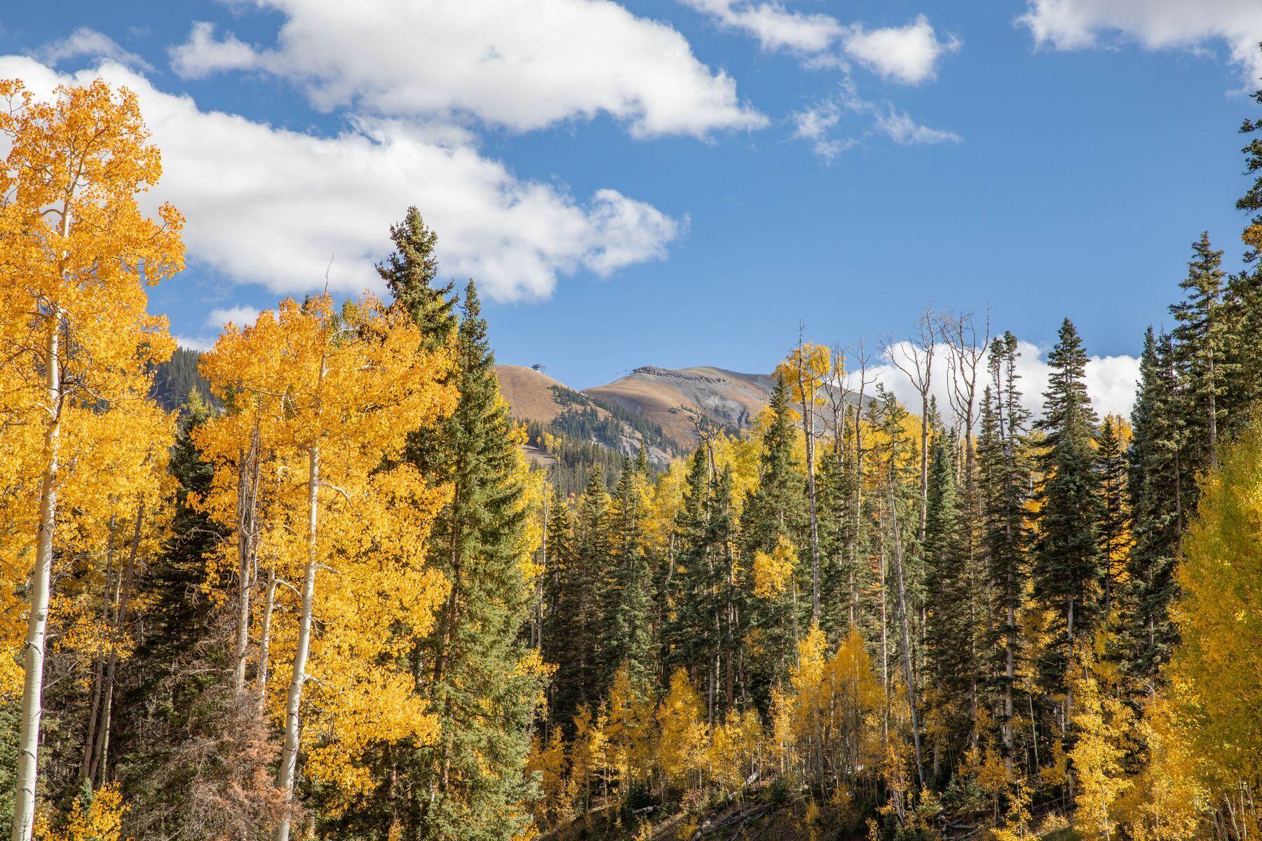 Tbd Lot 1 Winterleaf Property Photo 6