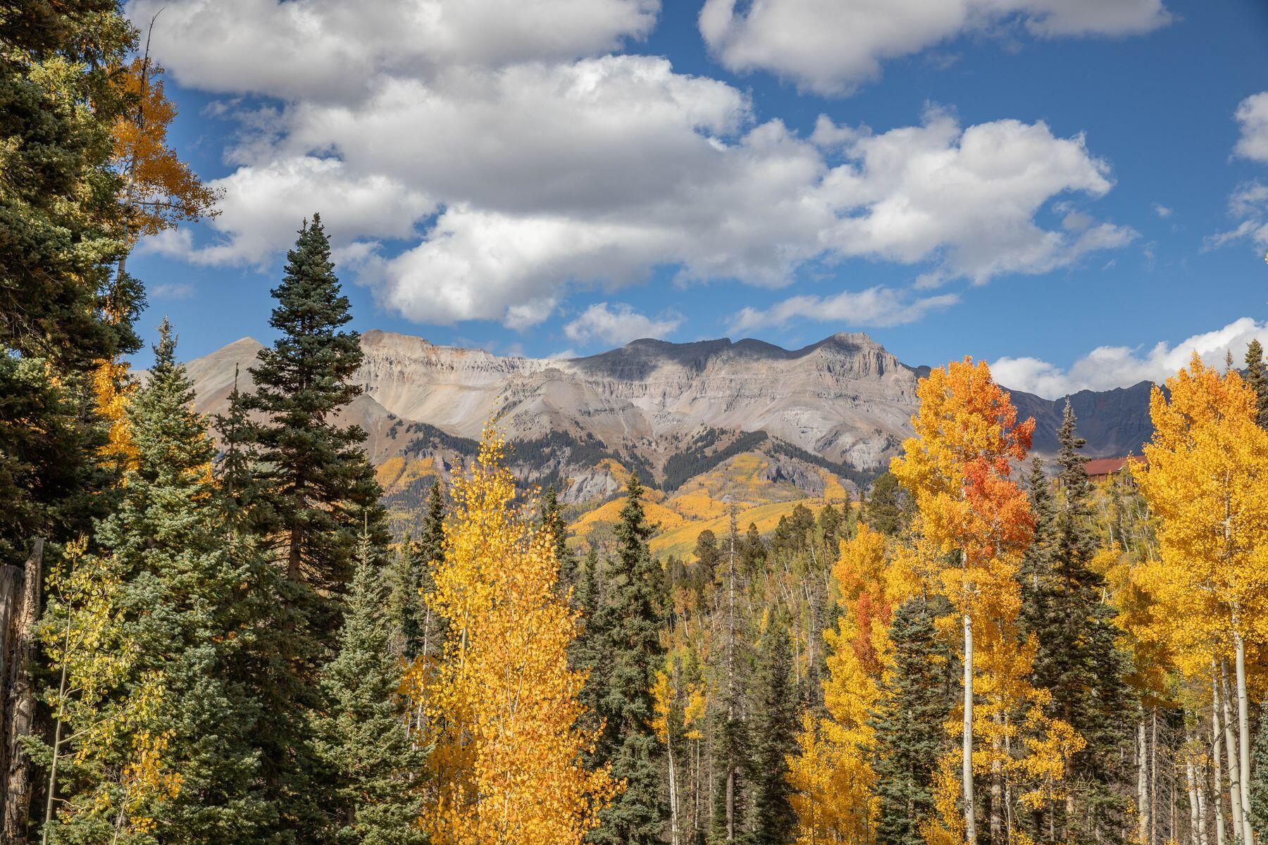 Tbd Lot 1 Winterleaf Property Photo 7