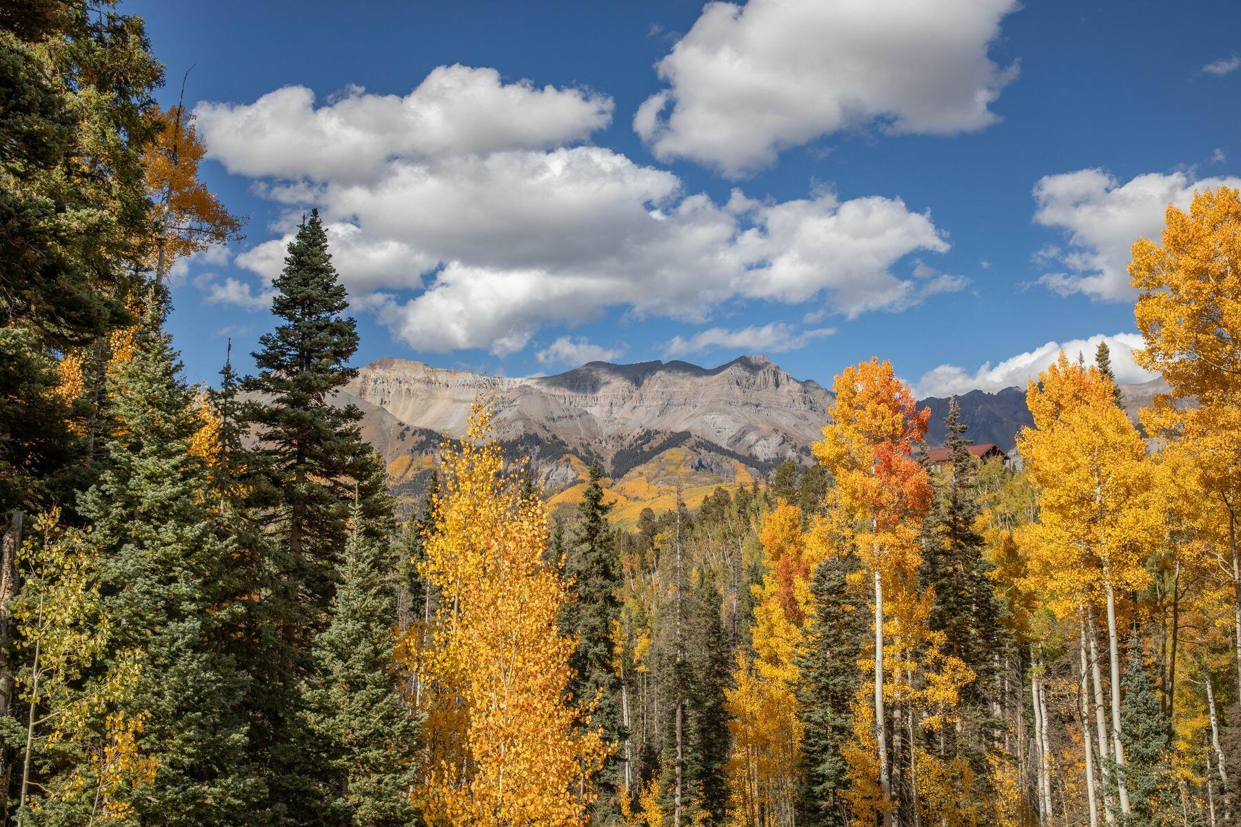 Tbd Lot 1 Winterleaf Property Photo 8