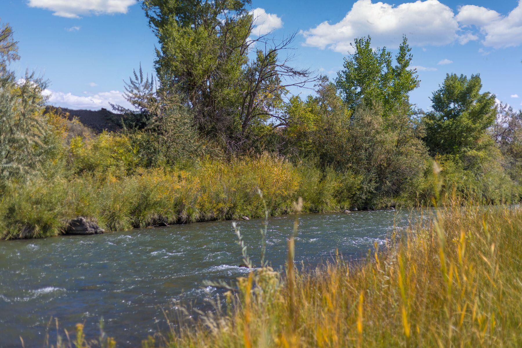 62951 Lasalle Road Property Photo 24