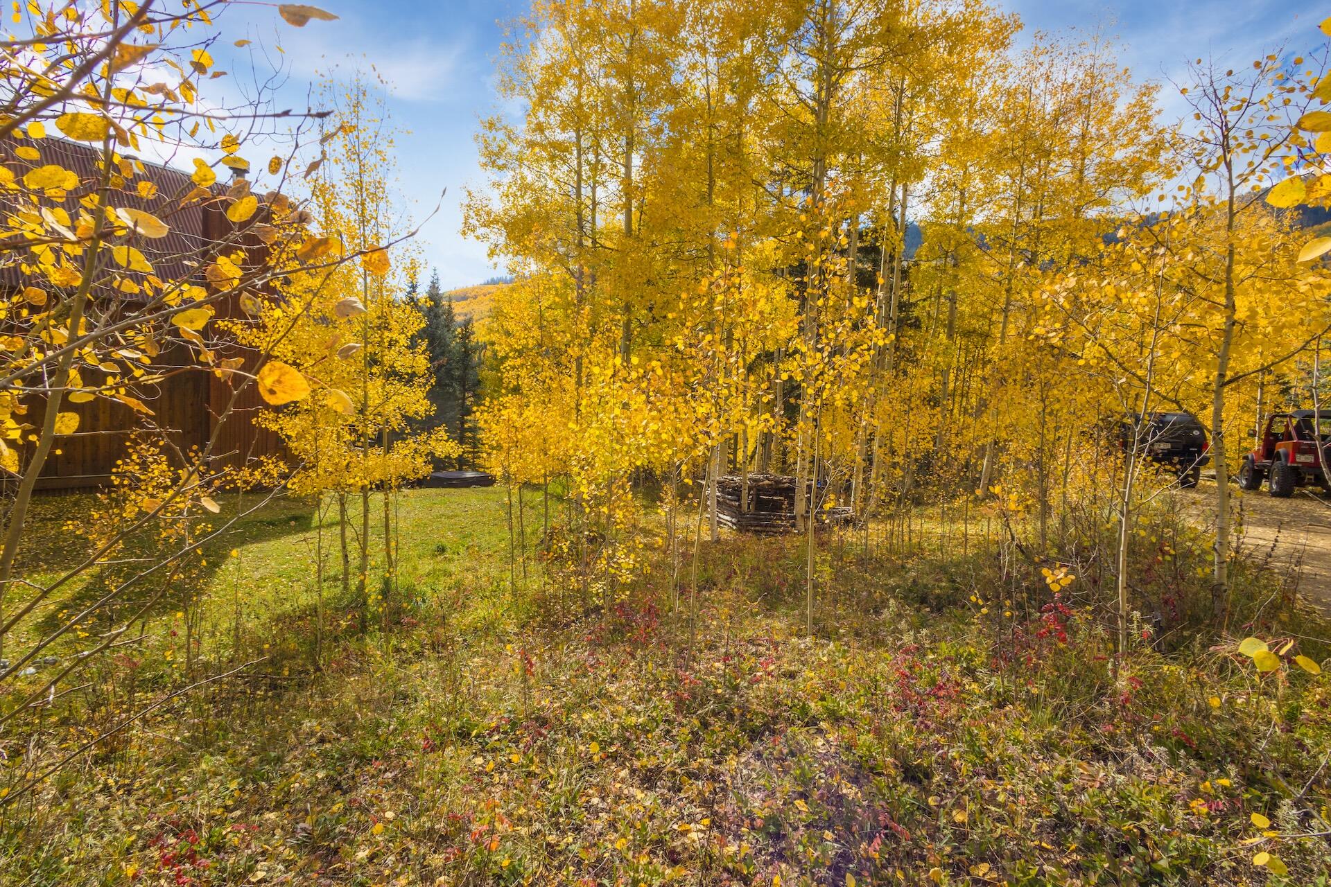 Tbd Silverglance Way Property Photo 4
