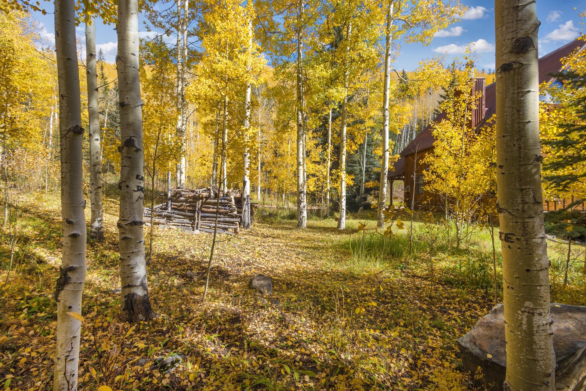 Tbd Silverglance Way Property Photo 6