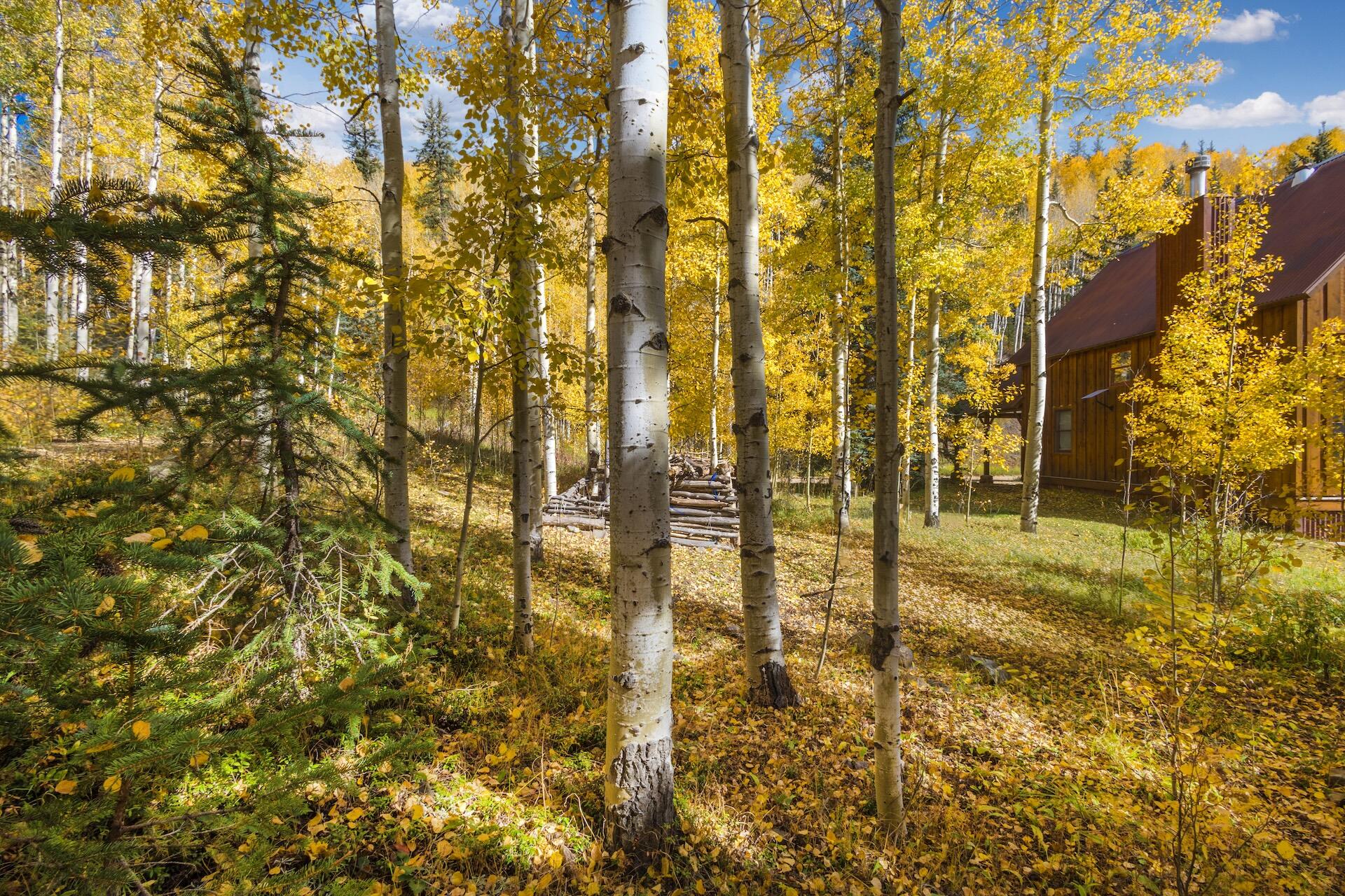Tbd Silverglance Way Property Photo 14