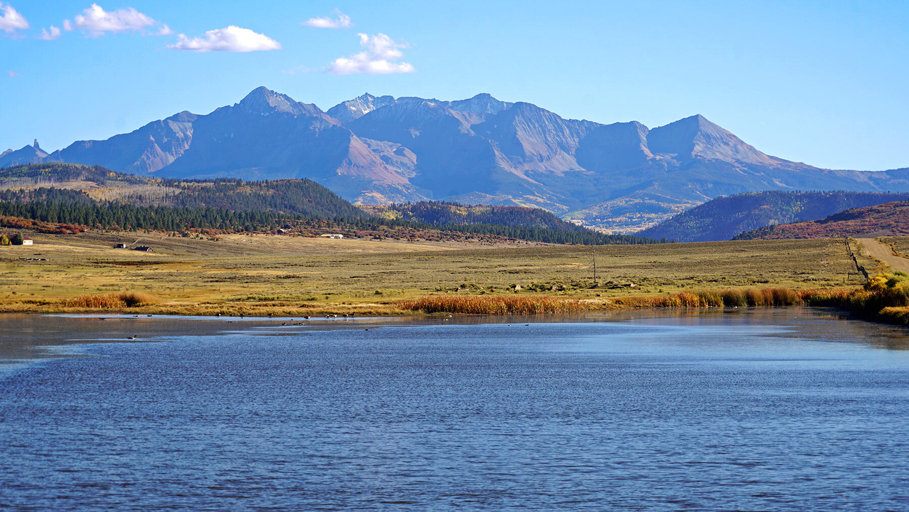 1250 Mckenzie Springs Road Property Photo 3