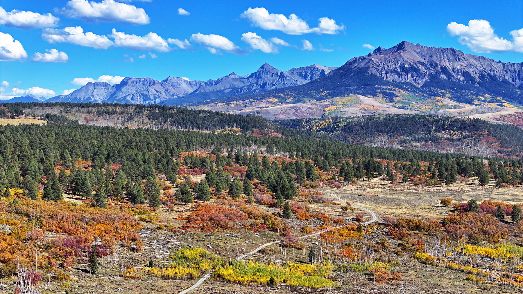 1250 Mckenzie Springs Road Property Photo 4