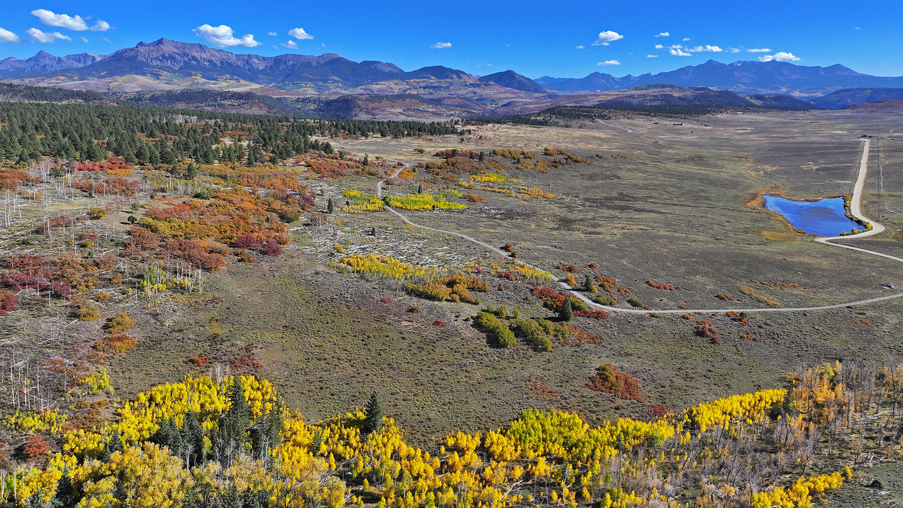 1250 Mckenzie Springs Road Property Photo 5