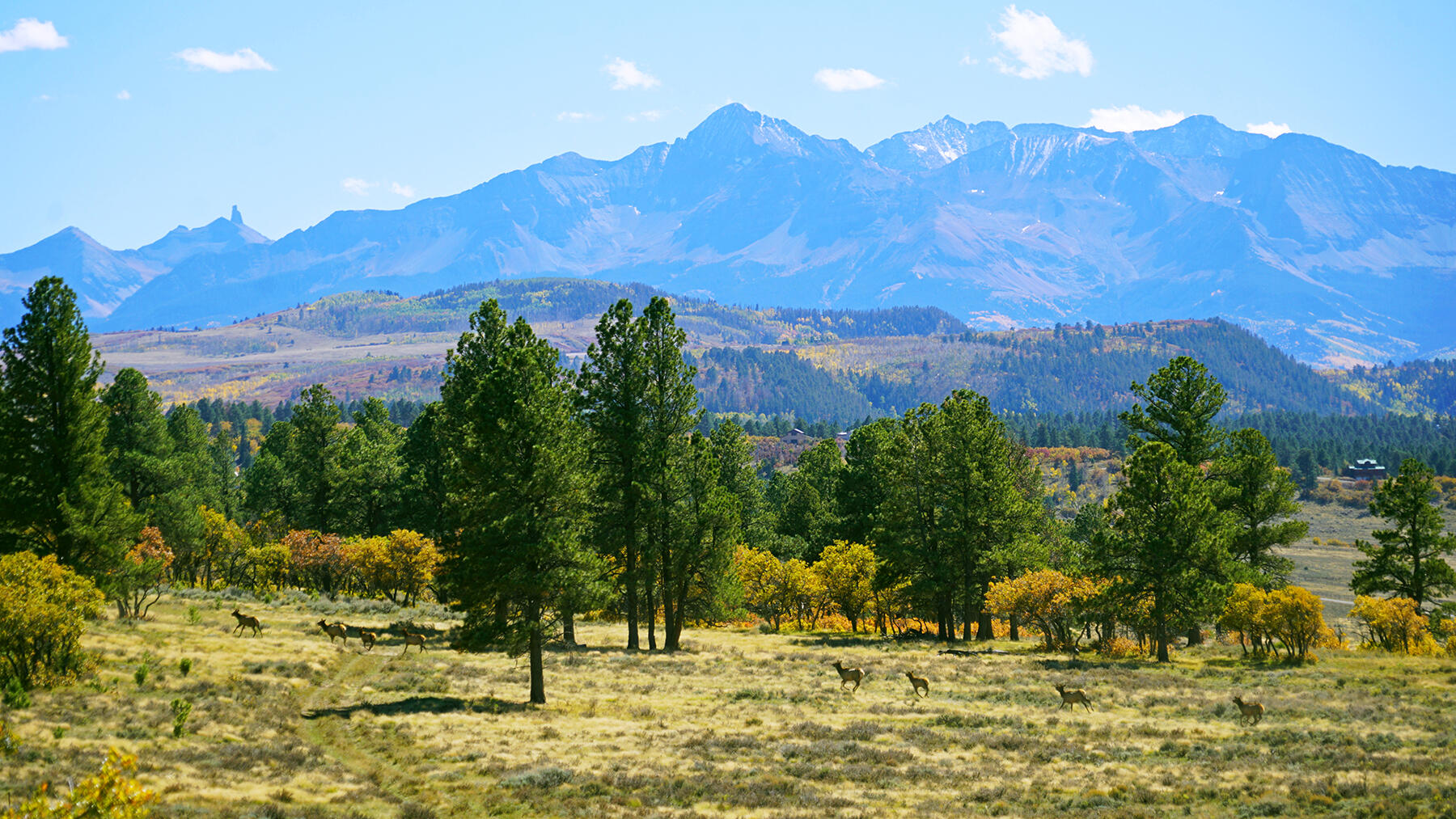 1250 Mckenzie Springs Road Property Photo 7