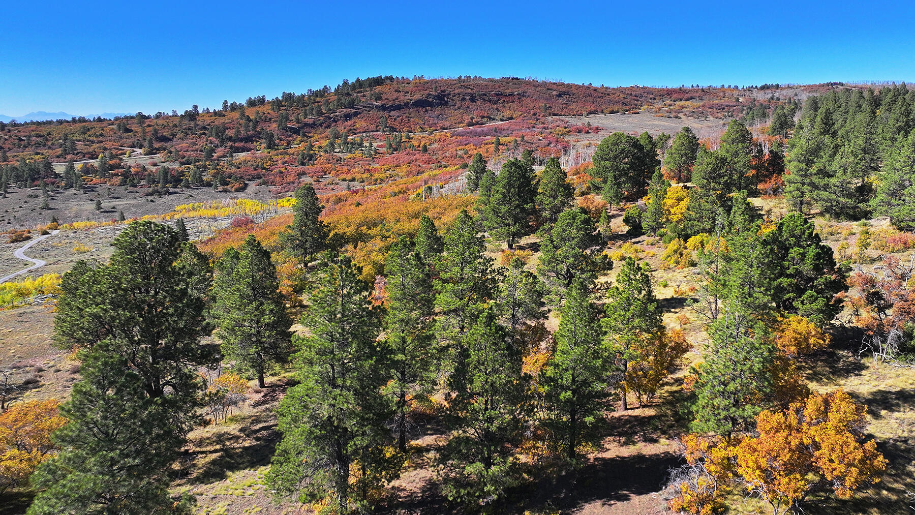 1250 Mckenzie Springs Road Property Photo 10