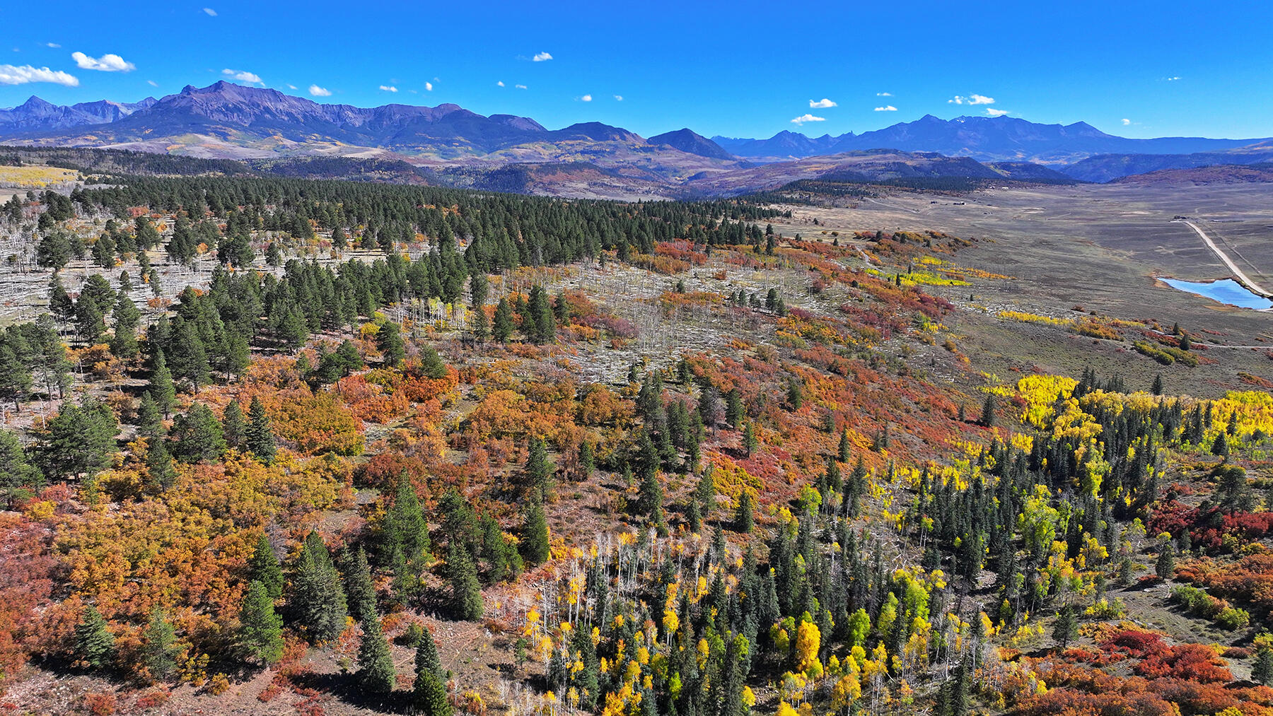 1250 Mckenzie Springs Road Property Photo 11