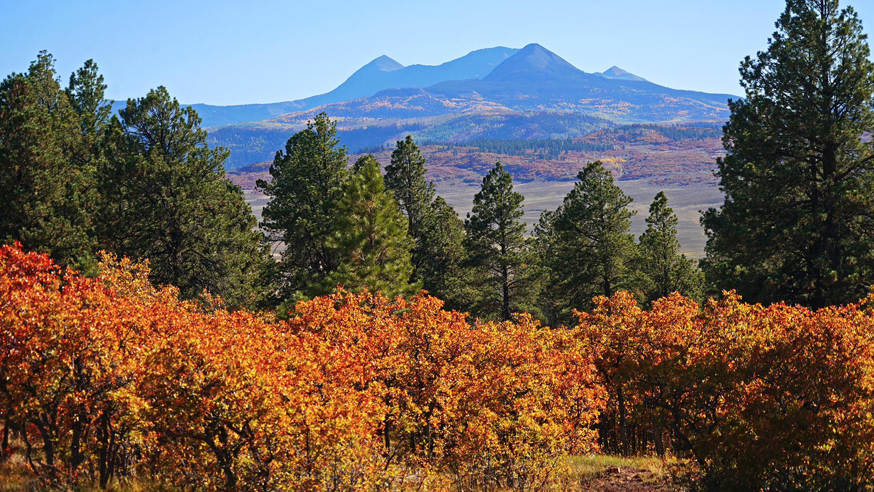 1250 Mckenzie Springs Road Property Photo 13