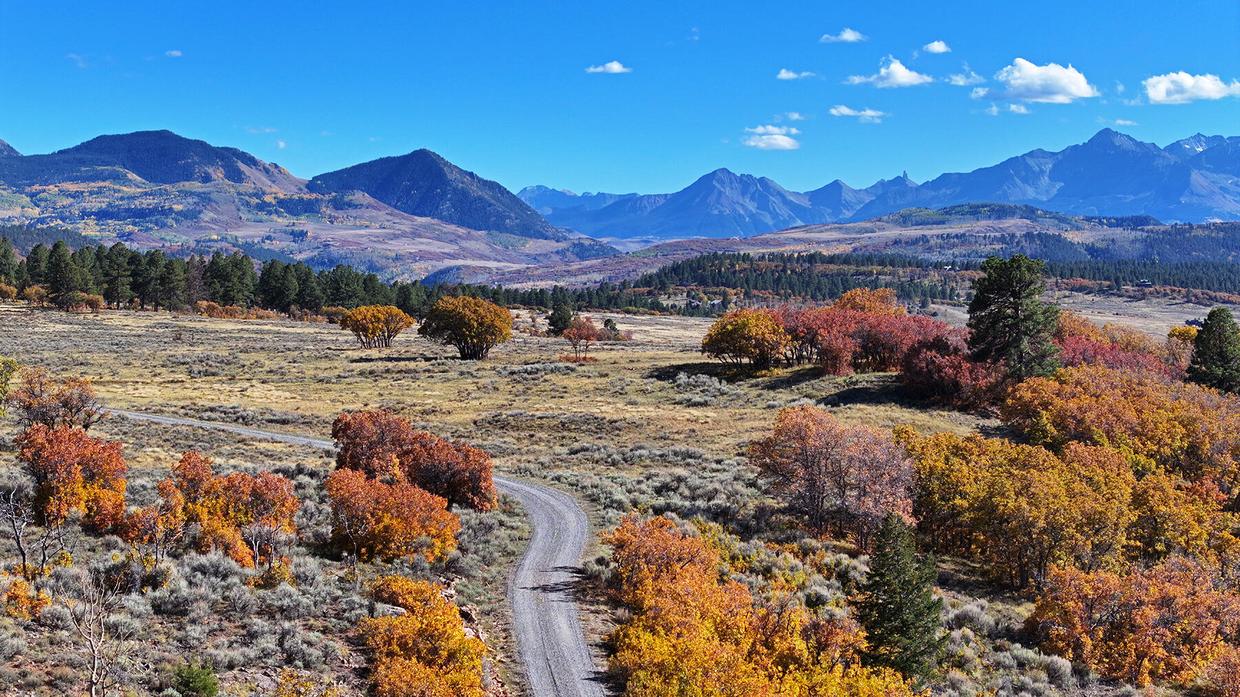 1250 Mckenzie Springs Road Property Photo 14