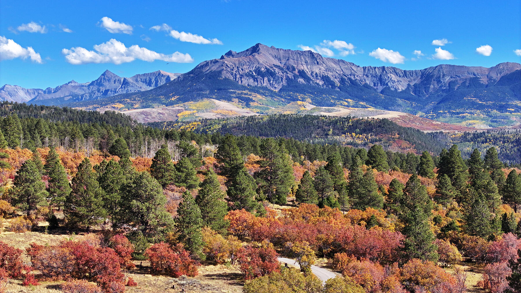 1250 Mckenzie Springs Road Property Photo 17