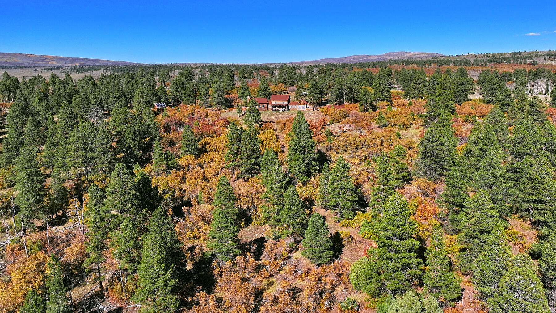 1250 Mckenzie Springs Road Property Photo 19