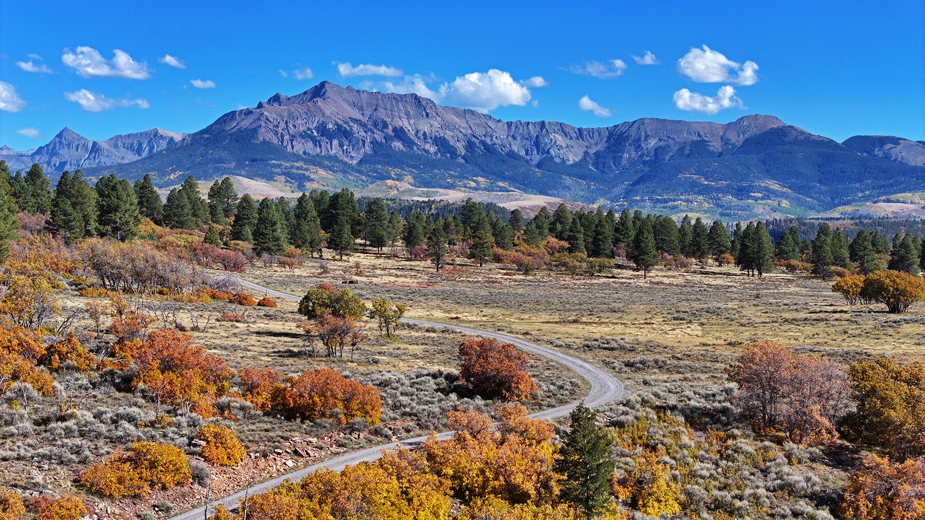 1250 Mckenzie Springs Road Property Photo 20