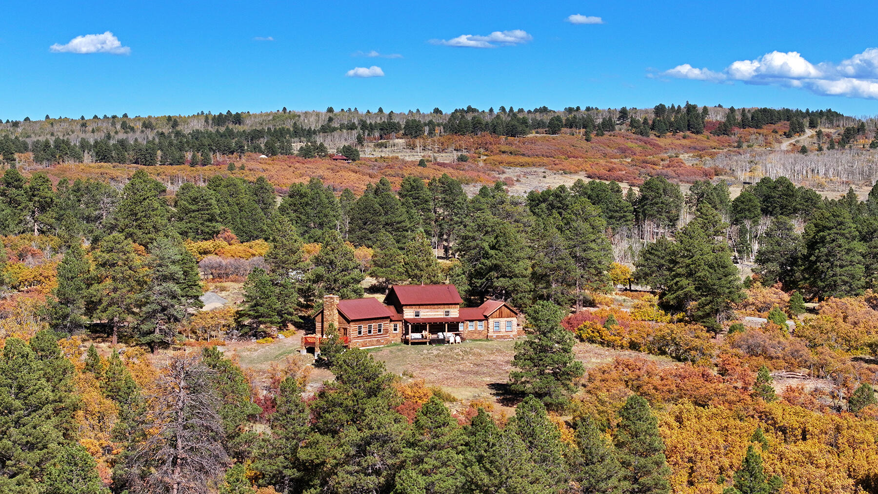 1250 Mckenzie Springs Road Property Photo 21