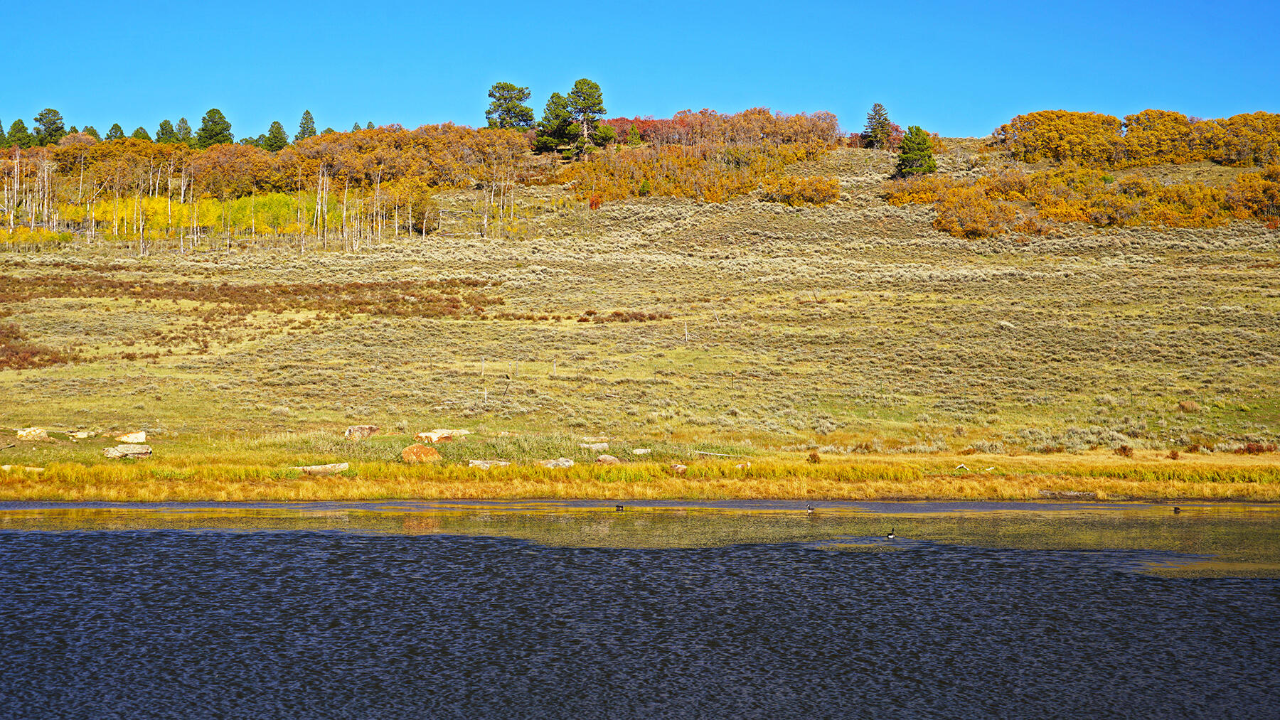 1250 Mckenzie Springs Road Property Photo 26