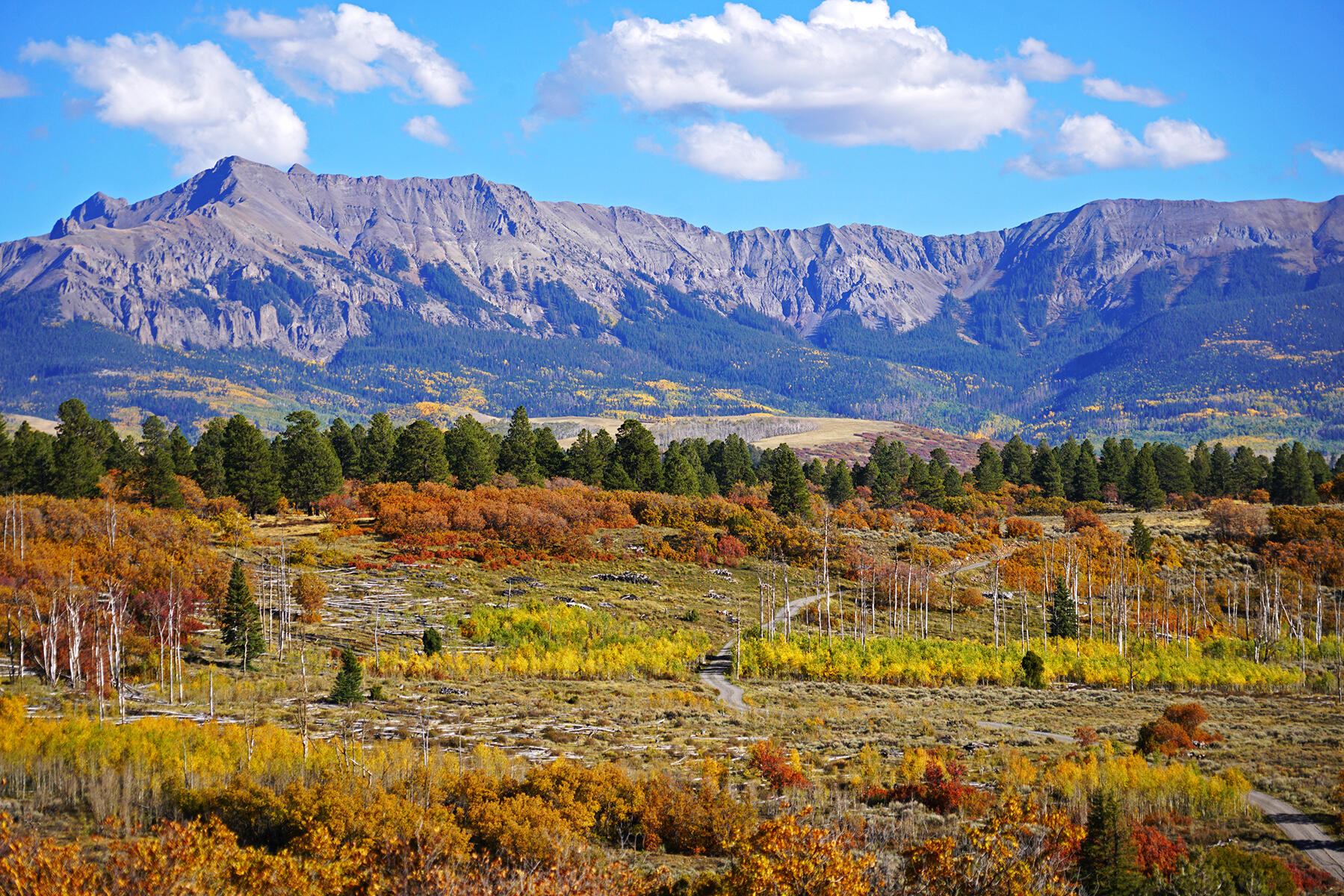 1250 Mckenzie Springs Road Property Photo 27