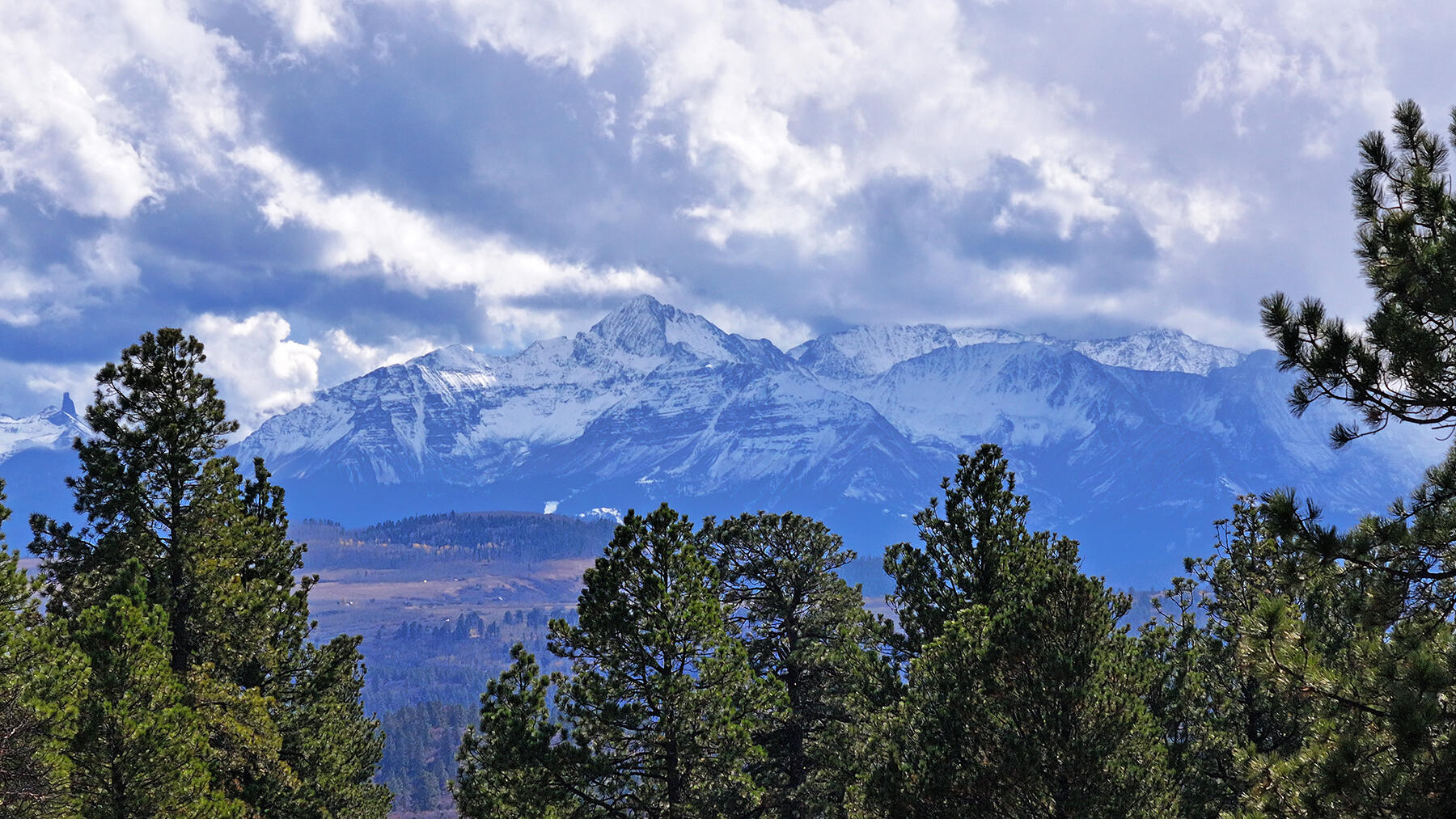 1250 Mckenzie Springs Road Property Photo 29