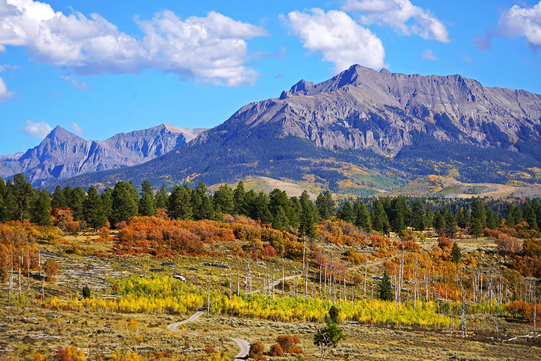 1250 Mckenzie Springs Road Property Photo 30