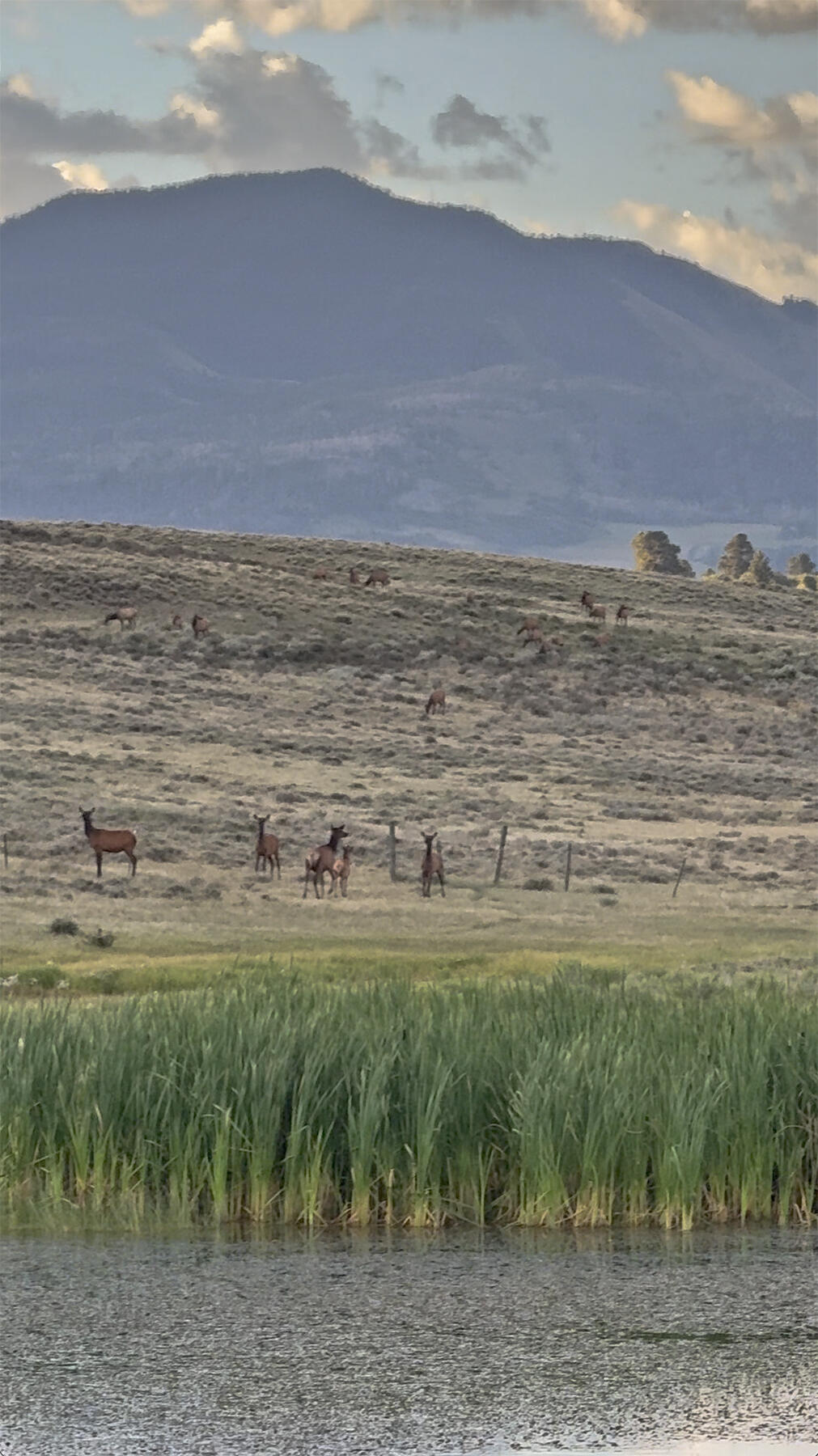 1250 Mckenzie Springs Road Property Photo 31