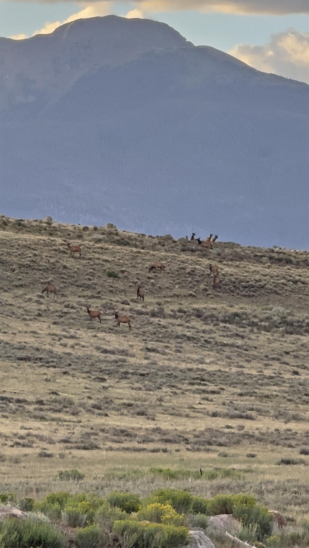 1250 Mckenzie Springs Road Property Photo 32