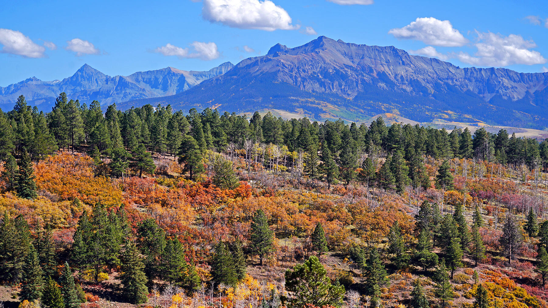 1250 Mckenzie Springs Road Property Photo 33